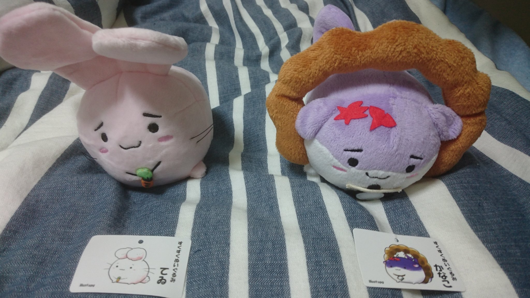 まこぴー on Twitter: "今日の1枚:「すくすく」 すくすくぬいぐるみを衝動買いしてしまった。かわいいから悔いはない。…