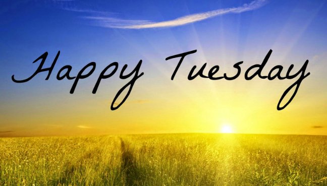 webpromotionuk's tweet photo. Happy Tuesday everyone, we hope you all have a fantastic day https://t.co/3XdICUMZa8