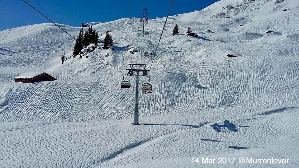 Weird parallel lines in the snow - it rained heavily last Thursday &amp; created these rivulets in the off-piste snow at #Winteregg. #Mürren