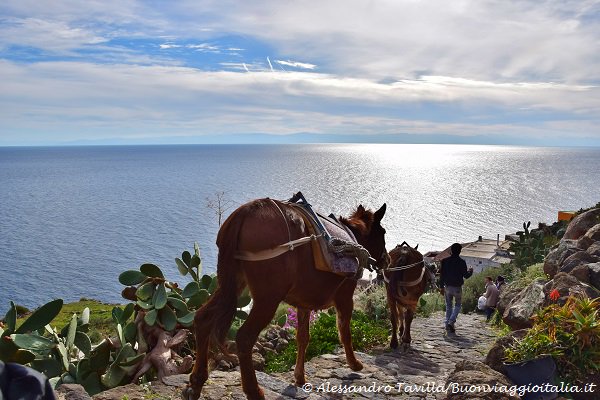 #giornatadelpaesaggio quanta #bellezza da condividere!
tinyurl.com/ztr2t7v