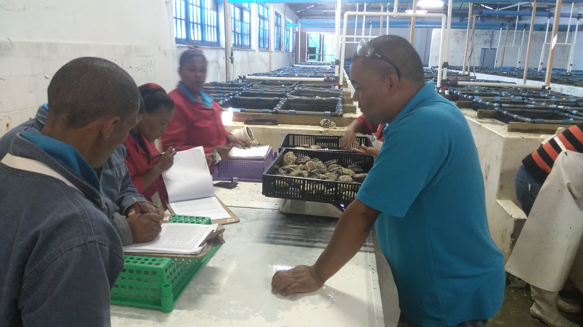 visitNWC's tweet photo. #Visit the #Abelone farm #Doringbaai. An initiative between the Doringbaai Development trust & local #entrepreneurs. #traveltuesday https://t.co/tDa6IaX59p