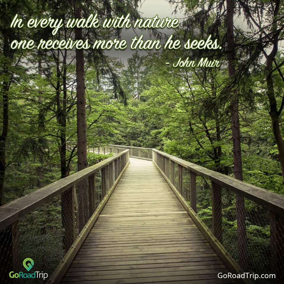 goroadtrip_ind's tweet image. &quot;In every walk with nature one receives more than he seeks.
– John Muir&quot;