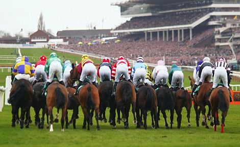 Cheltenham, need we say more guys? 👍🏇