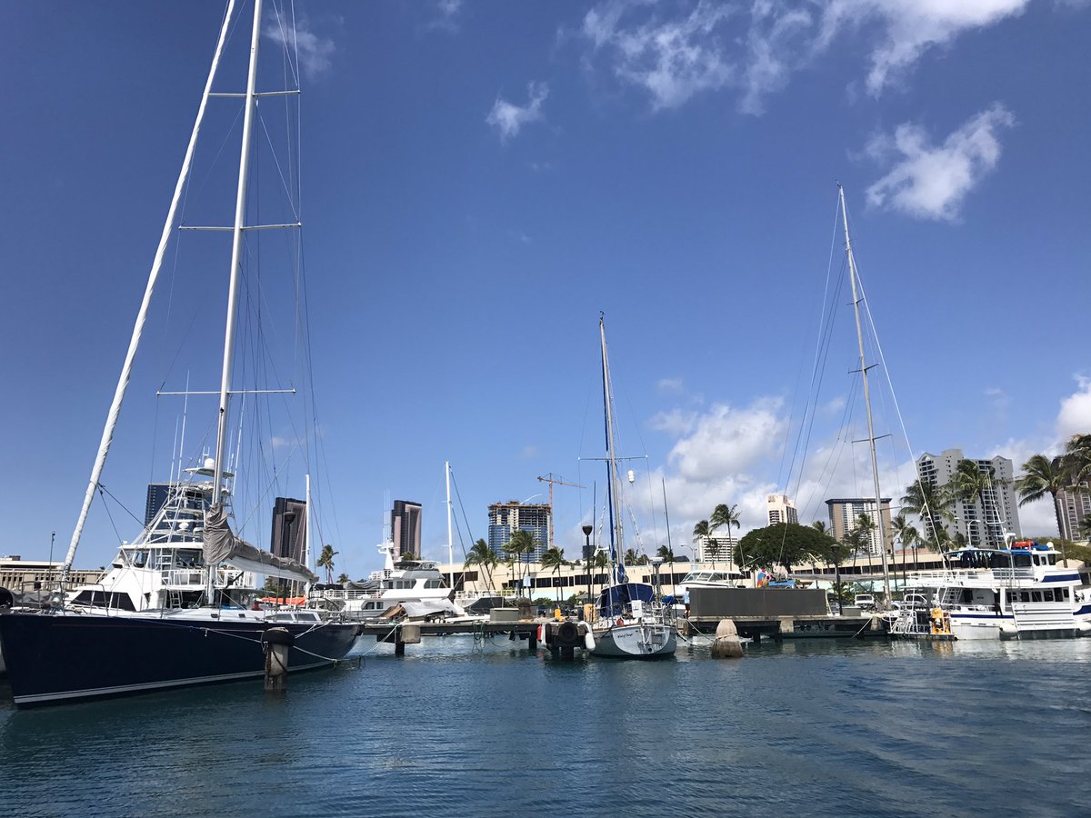 ohin kwon (@okwon1) on Twitter photo 