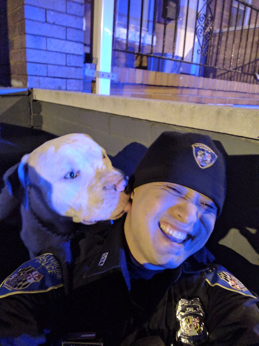 sheree_briscoe's tweet photo. Officer Dinh made a new friend while out on patrol. Keeping the community safe!! #WDSTRONG!!
🚓🐶👨🏼‍✈️ https://t.co/XJS9o3Qdng