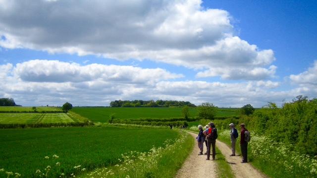 Year of Walking tweet media