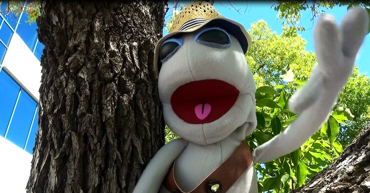 ePuppets's tweet image. Morry The Lemurian Alien Puppet Sits in a Tree in Palo Alto, CA on a Mission to Contact his ET Family #ThePuppetMovie #SiliconValley #Movie