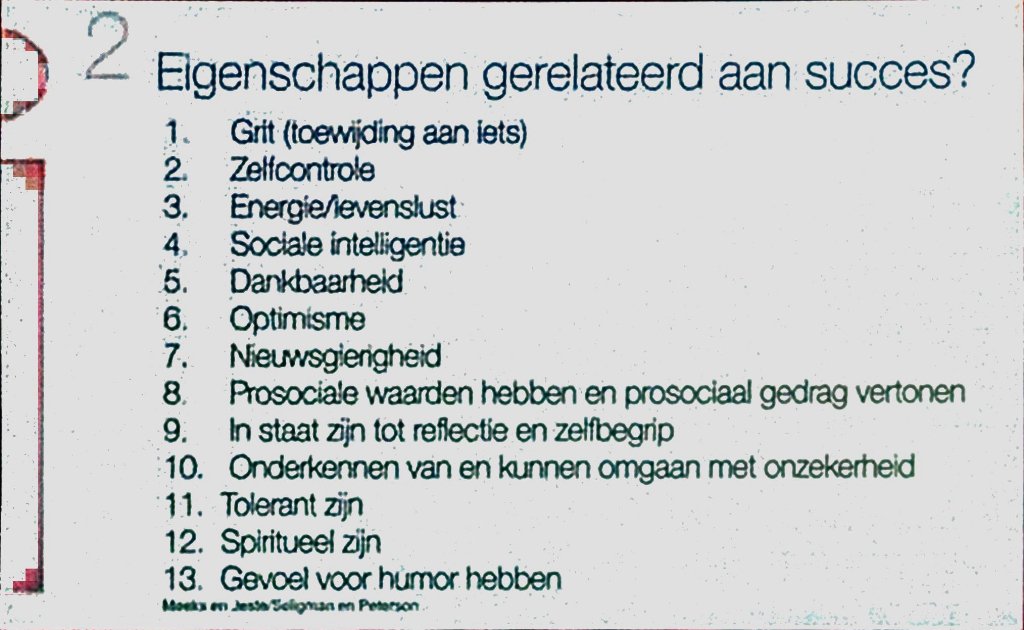 Andere mooie dia: Eigenschappen die Leiden tot succes. Landstedevo2017.