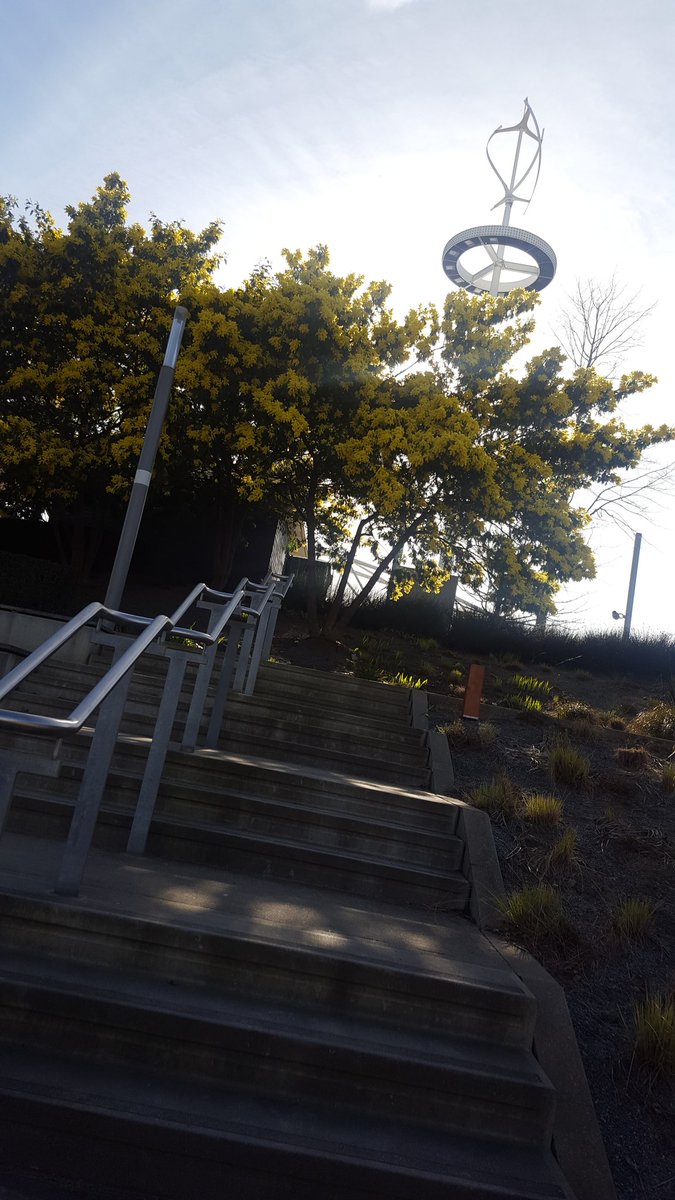SabrinaDiLao's tweet photo. Un bellissimo albero di Mimosa in quel di Londra 🌾 #FestaDellaDonna #London #olympicpark #sunnyday https://t.co/K97j0N1afA
