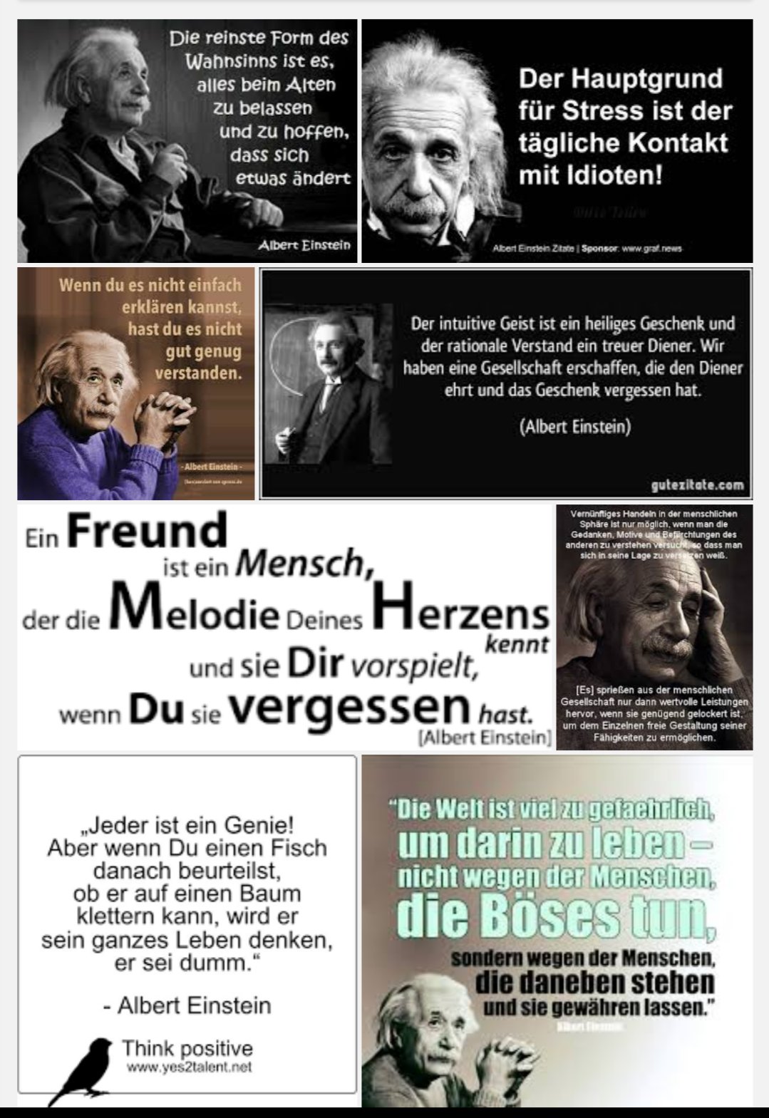 Gerald Krieghofer Am Heutigen Geburtstag Von Albert Einstein Ist Ungefahr Jedes Zweite Einstein Zitat Mit Dem Er Auf Twitter Geehrt Wird Falsch T Co Jctot0mkrl