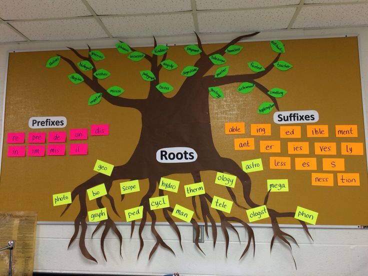SalloumAnita's tweet photo. Help your children to remember root words, prefixes &amp; suffixes with this display idea
#acuedu_p #Acuedu_p #ACUedu_p  @alanaa1995  @MeraieW https://t.co/8H8MA4UMNd