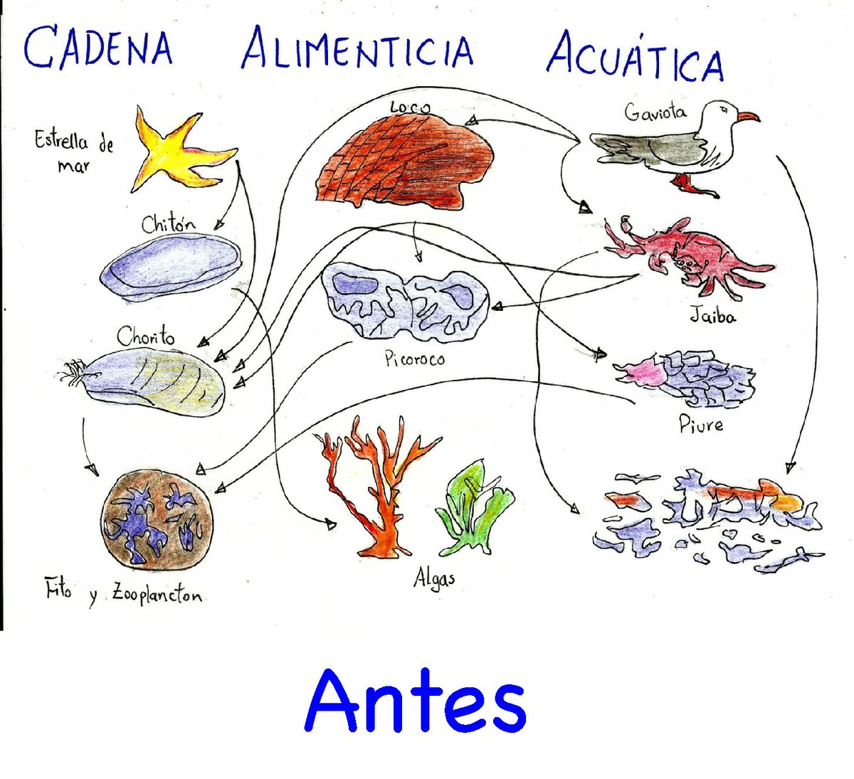 My Image 6