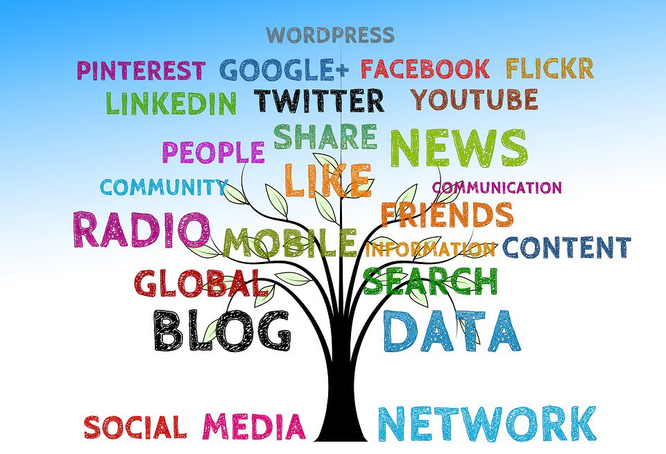 elixirweb21's tweet image. The more SEO optimised blogs help to gain more online visibility in Search Engines and Social Media.