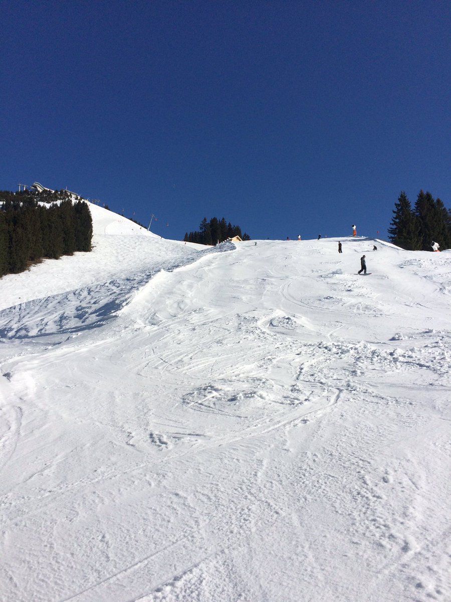 Westendorf tweet media