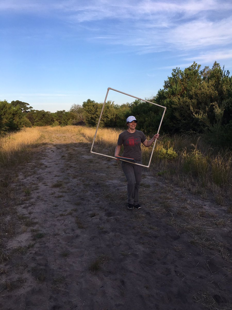 PaulECarnell's tweet photo. And #MappingOceanWealth sampling is underway! Taking sediment cores in the beautiful #Saltmarsh and #Seagrass in #SwanBay #OzMOW https://t.co/GReE5VqFKc