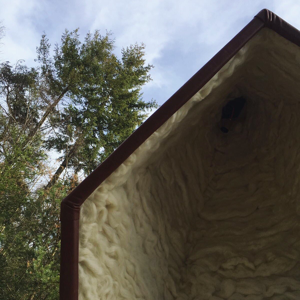 edvek_'s tweet photo. If you listen carefully, the silence is beautiful 🍃 #bewave #biomimicry https://t.co/CldtE5ciom