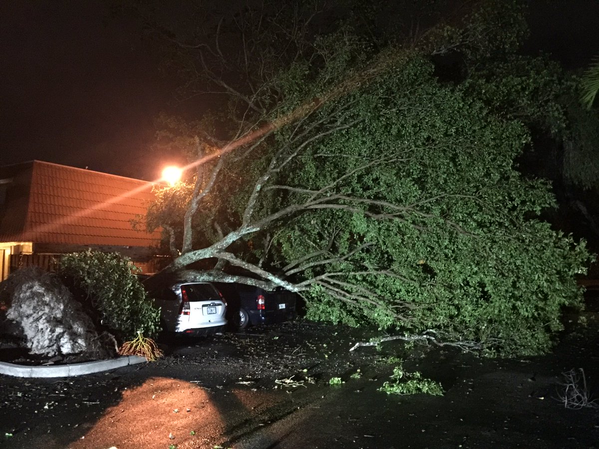 #BREAKING @NWS confirms EF1 tornado ripped through parts of Broward this morning bit.ly/2lWTWvS https://t.co/cy8lrFby56