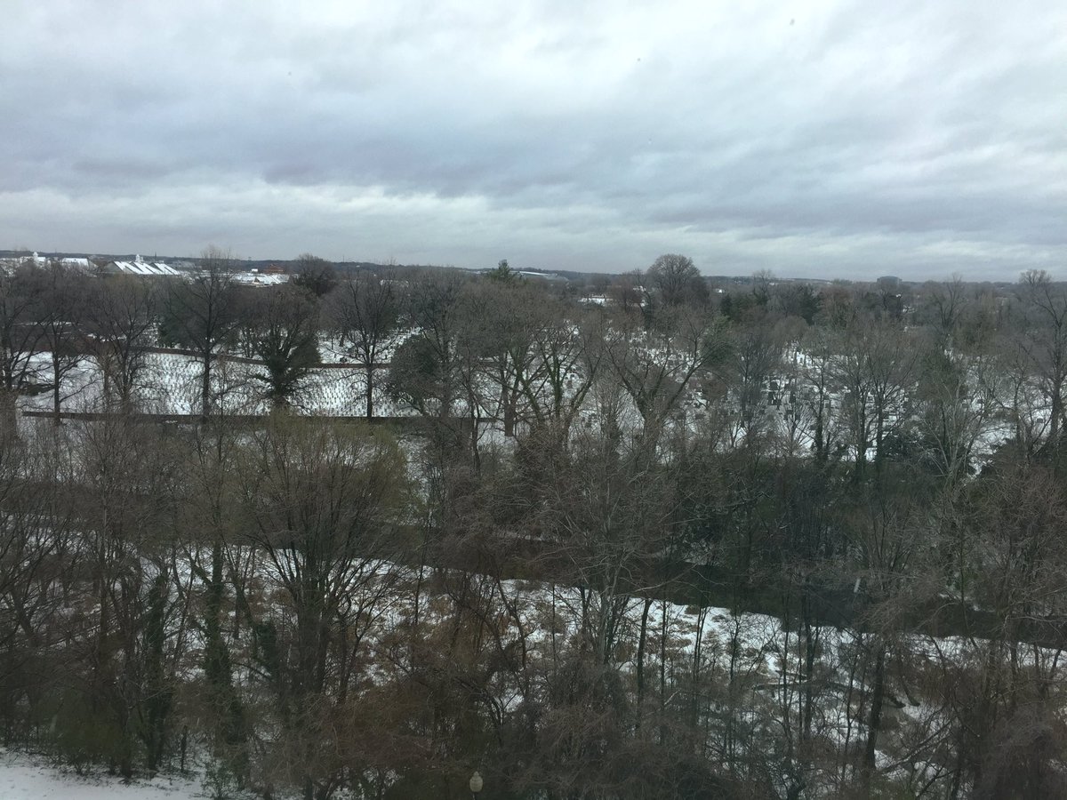 #snowday Gorgeous view today!