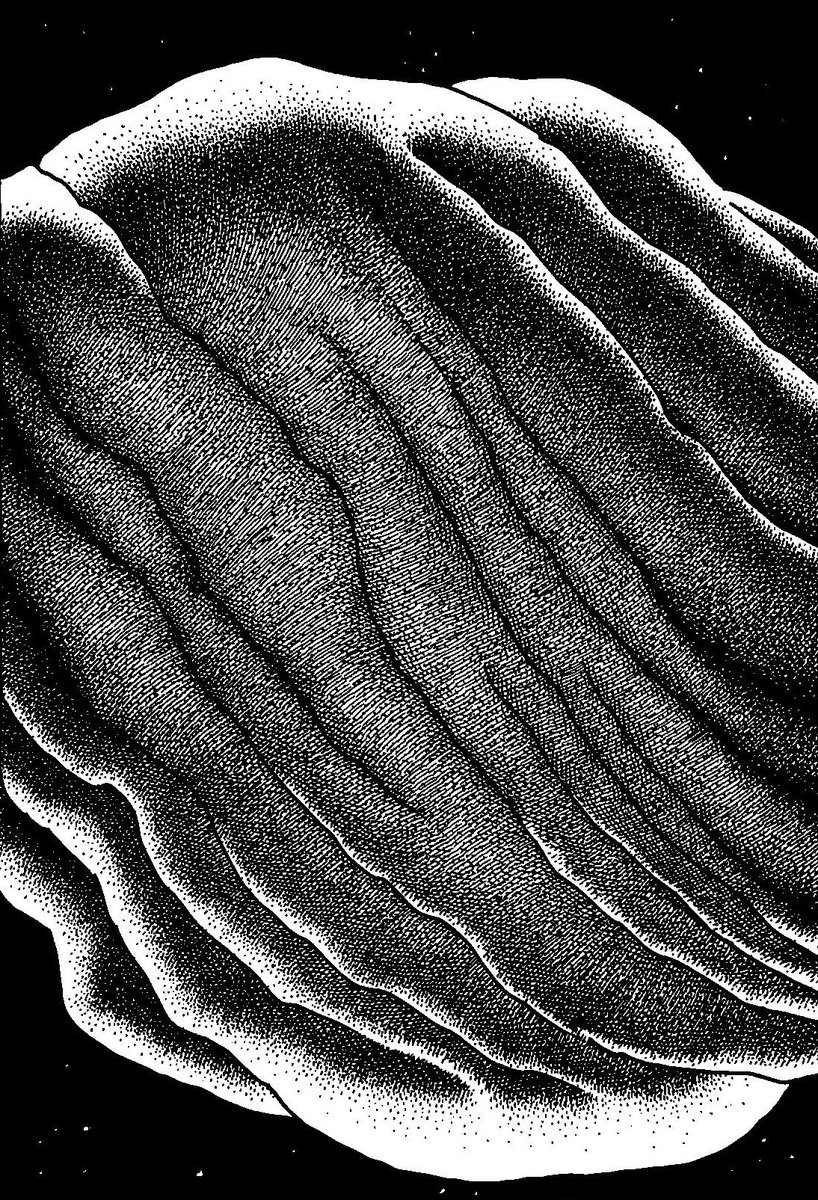 But Does it Float tweet media