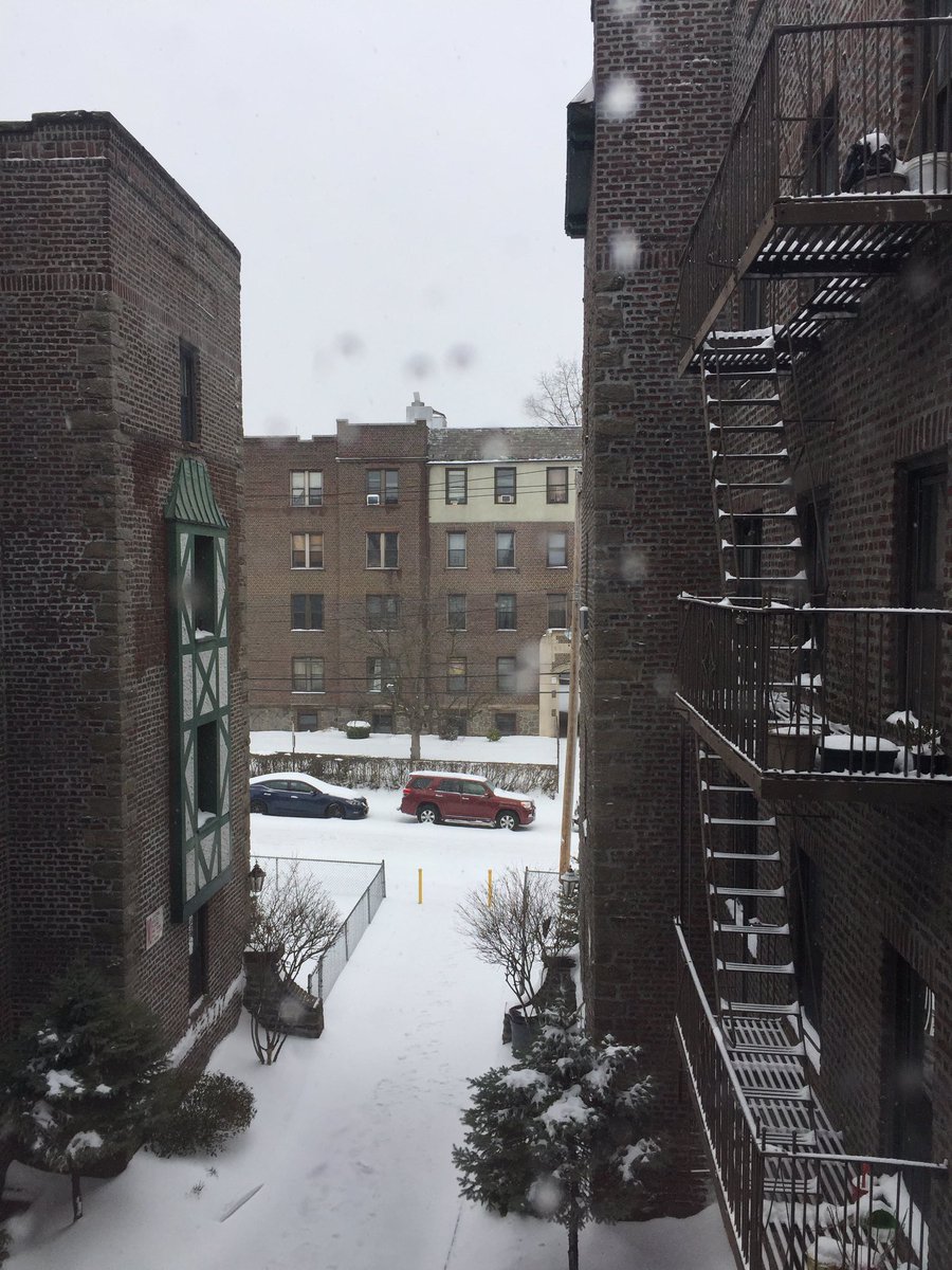 Maria31730448's tweet photo. #univision #tormentanyc, aquí no limpian Elm Ave, Mt Vernon NY, en esta ciudad el servicio de limpieza es muy malo.. https://t.co/wWpwGY4X7L