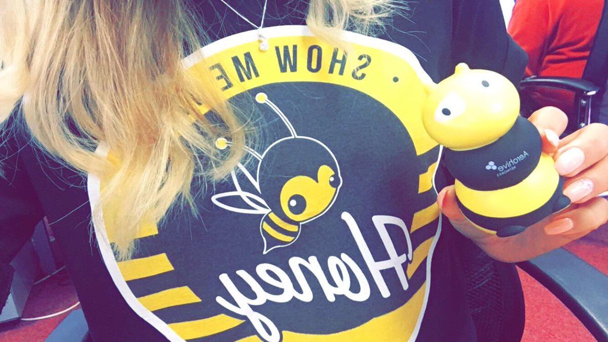 Loving my new tee and mascot from the @Aerohive team 🐝Check out their new wireless offering #CONNECT #ShowMeTheHoney