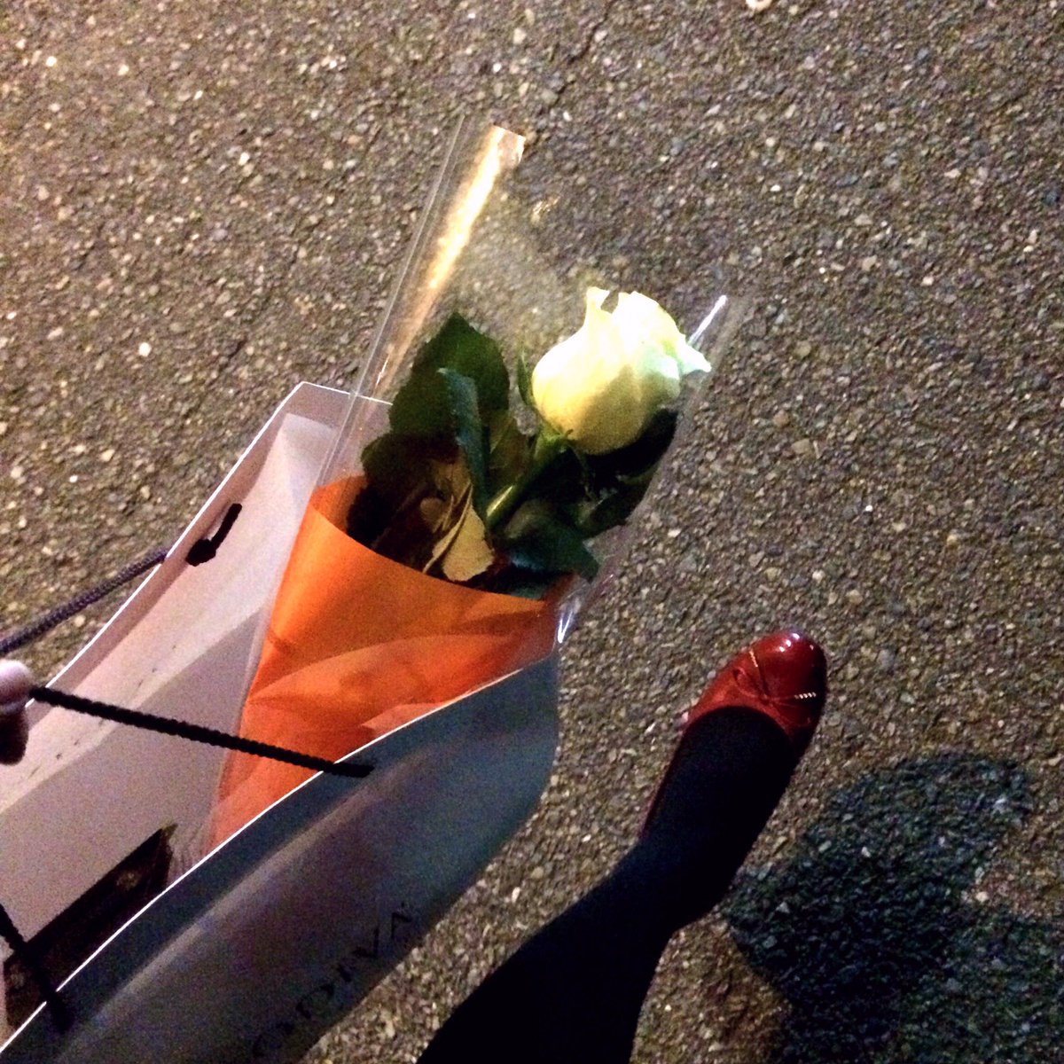 りざ Sur Twitter ララランド聴きながら夜道をくるくる 月も星も美しいっちゃ 社交ダンス習いたいなぁと適当なワルツ踊りながら 色んな色のバラを節目にくれる 今回は黄色 エマのワンピース色 Nowplaying Epilogue From La La Land Soundtrack