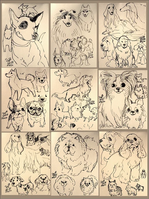 お犬さまたち もっとちゃんと描こうね… 