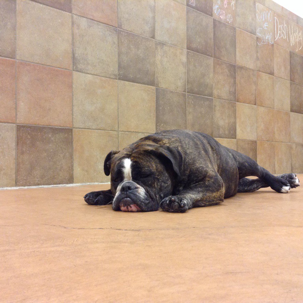 Laney exhausted
