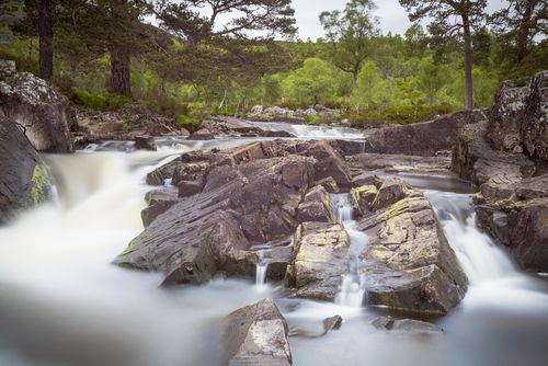 EagleBrae's tweet photo. It's #spring so grab your wellies and head to #GlenAffric β a magical mix of pinewoods, lochs, Munros and moorland. #ActivityOfTheMonth https://t.co/cXPjaMfEsT