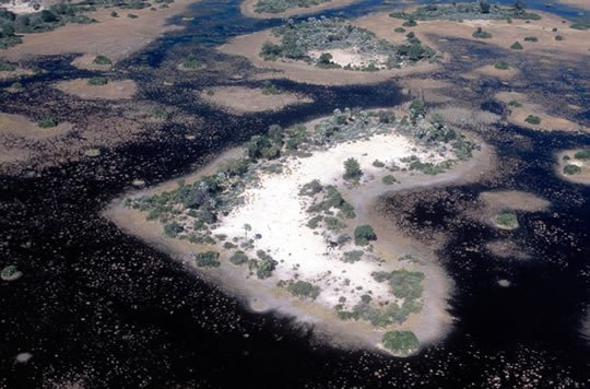 Prezidentiel's tweet photo. #PrezidentielAfricanDestination: The #Okavango Delta in #Botswana is one of the most incredible wilderness sanctuaries in Africa. #Travel https://t.co/OKAoo2fYF1