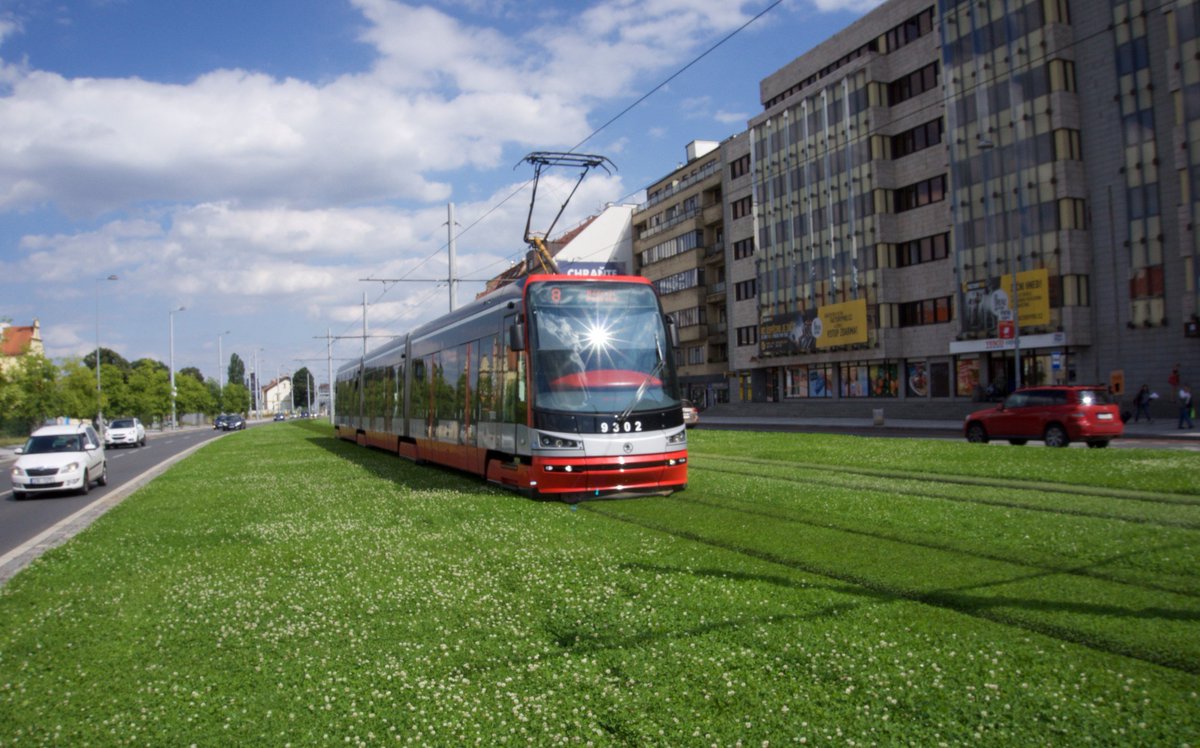 (image)