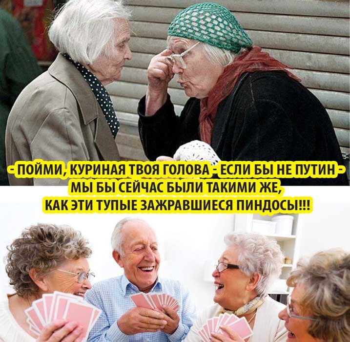 определить возраст курицы. как по курице определить возраст. возраст курицы несушки. таблица продуктивности пород кур несушек. трехмесячные цыплята.