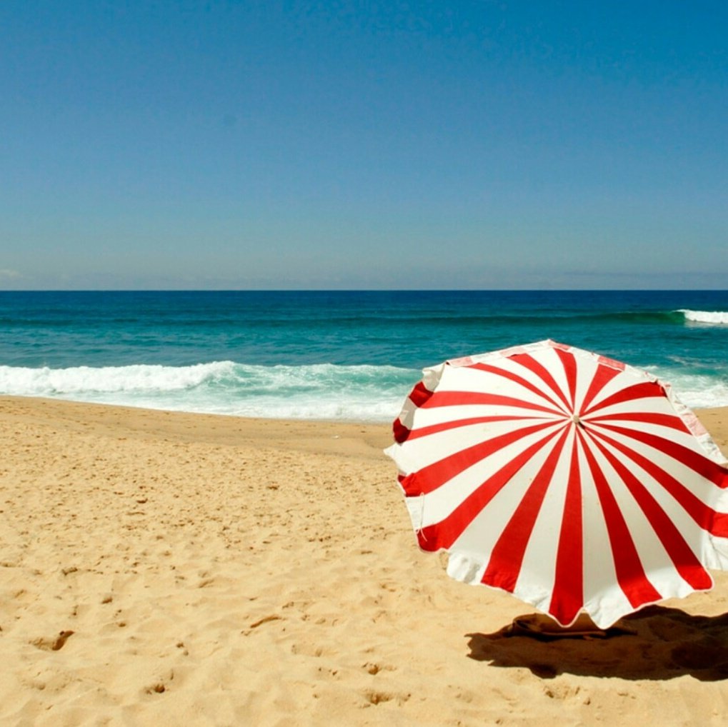 conner_ward06's tweet image. Winter break vs. Spring break 2016-2017 school year.