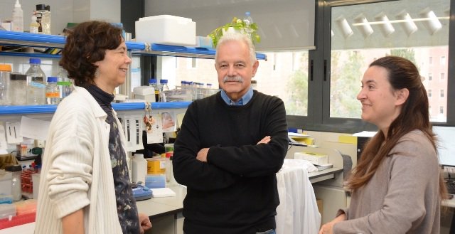 PCB_UB's tweet photo. Researchers from #IBUB at @PCB_UB find gene causing #OpitzC syndrome in the only patient in Catalonia https://t.co/FS7lrdc7FA #PCBCommunity https://t.co/3cVclb09yi