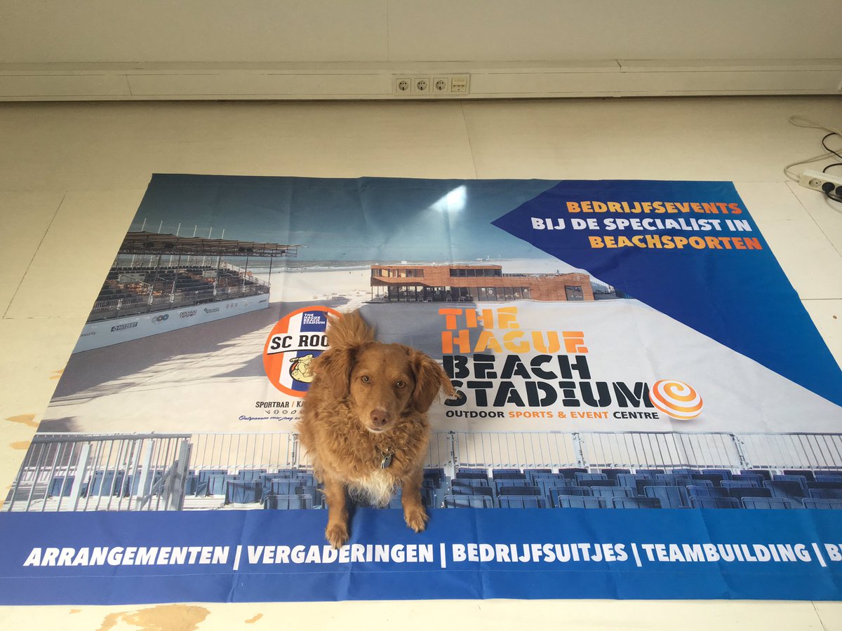 BeachstadiumNL's tweet photo. 1 mei 2017 is nog voor weg voor onze waakhond! #denhaag #scheveningen #rootz #sport #beachvolleybal #profreestyle #beachthrowdown https://t.co/U6w47Jncte