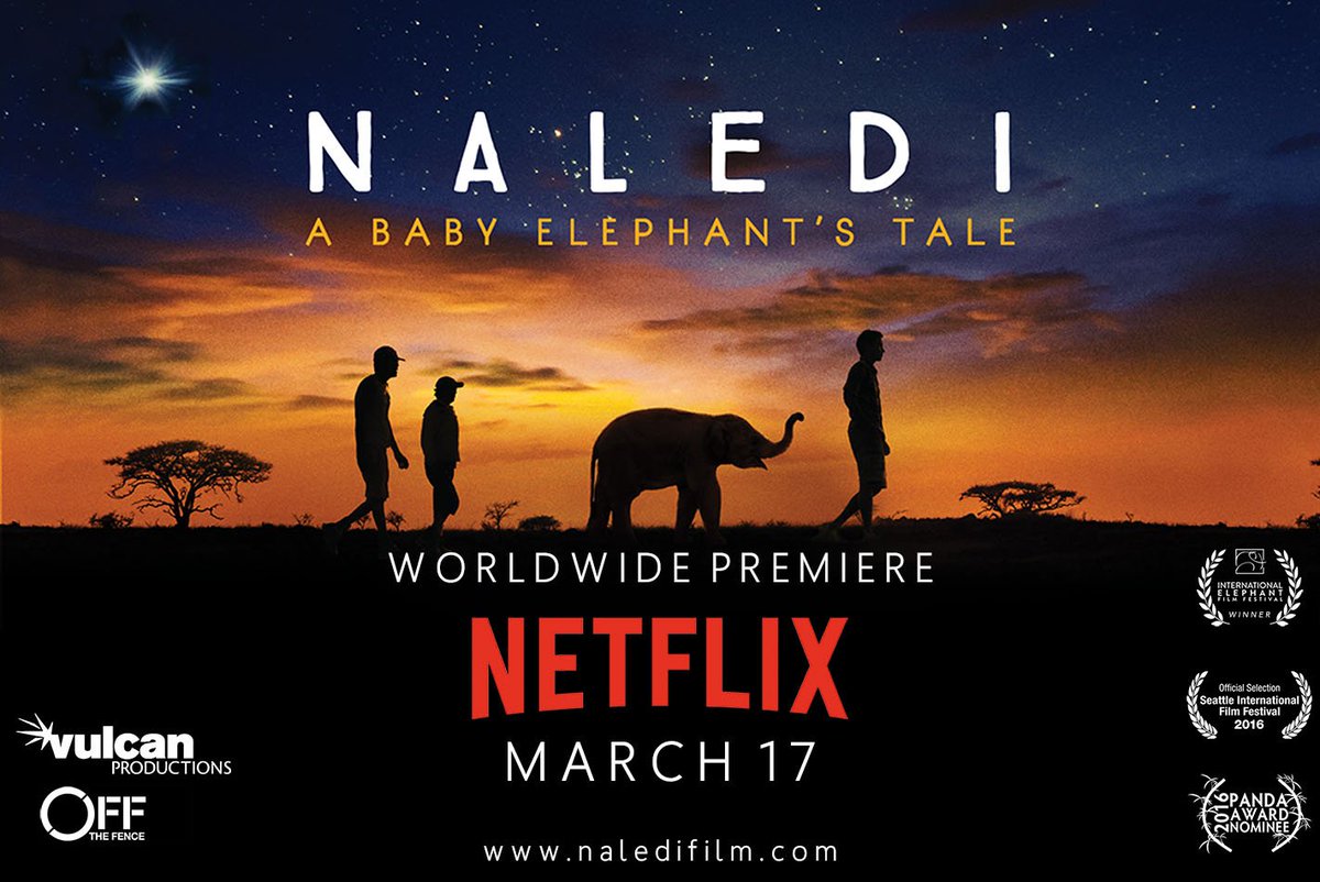 Don't miss the worldwide premier of #OTF and <a href="/VulcanInc/">VulcanInc</a> production Naledi: A Baby Elephant's Tale on #Netflix this Friday, March 17th!