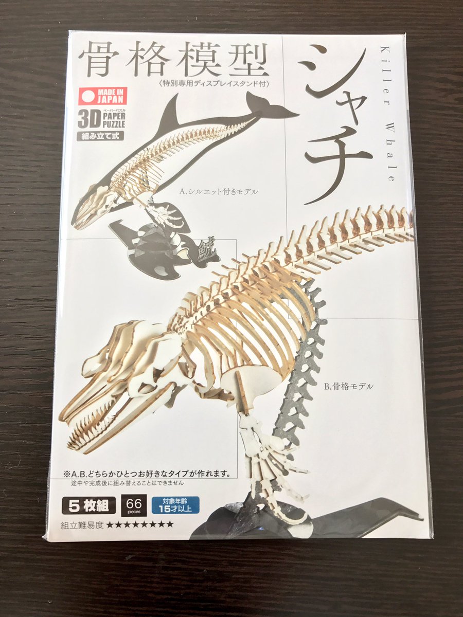 繁田穂波 手作市場 京都室町店 Twitterren ちょっと体調が優れないから 気持ちを落ち着かせるために 買ったばかりのシャチの骨格模型組み立ててるんだけど 細かすぎて心が折れそう シャチ 骨格模型 ペーパークラフト 心が折れる