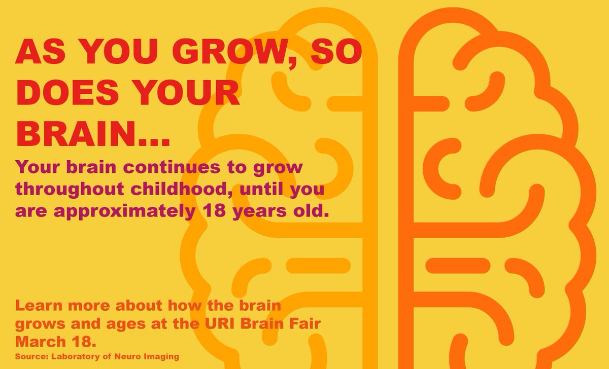 universityofri's tweet image. At Saturday’s #URIBrainFair, learn more about how the brain grows, works, makes decisions &amp;amp; much more: bit.ly/2mr4lgu #BrainWeekRI