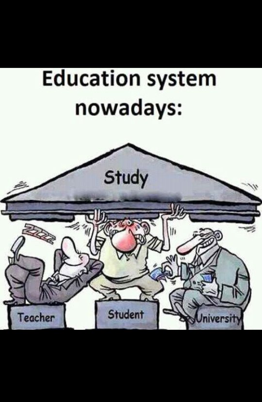 devada_moon's tweet image. In India education systems
