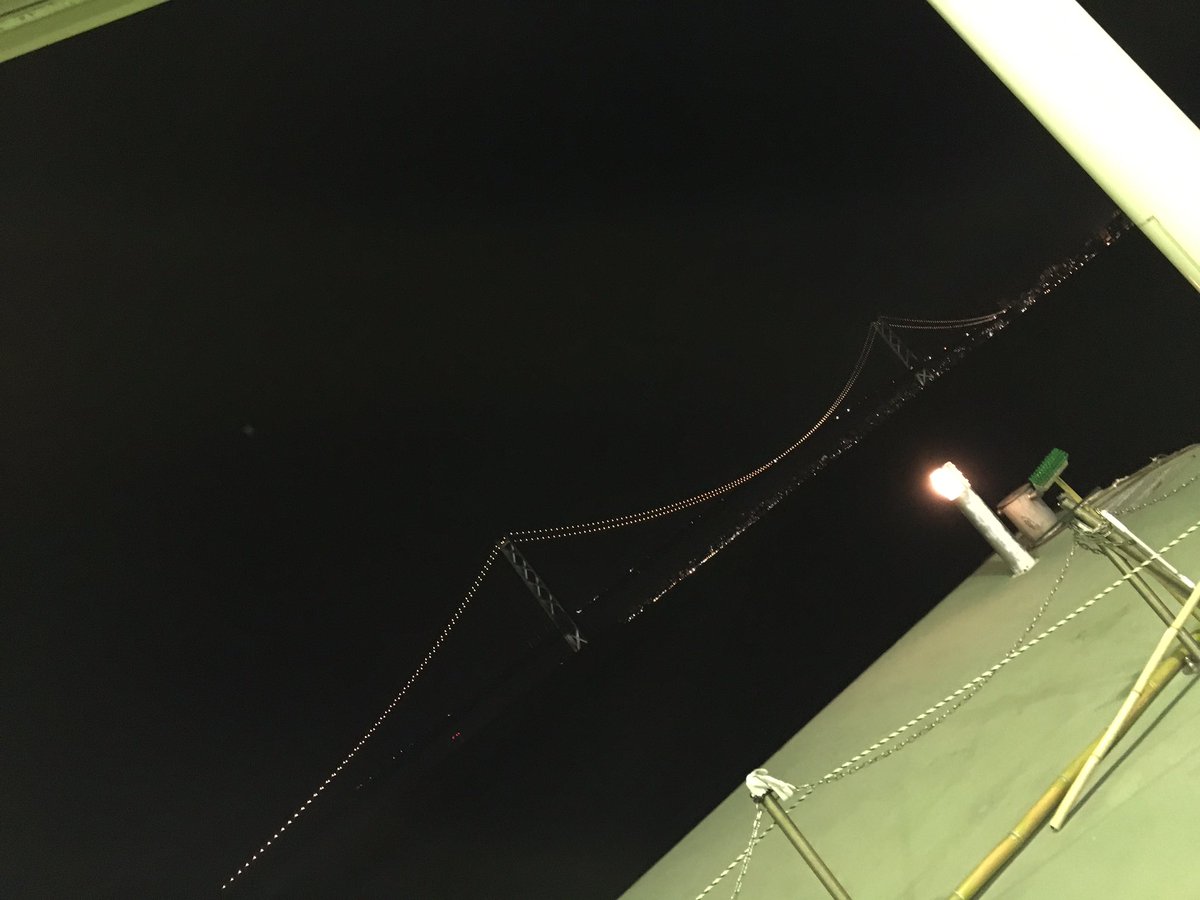 tangentbot's tweet photo. ただいまー https://t.co/XH5A1LqQp9