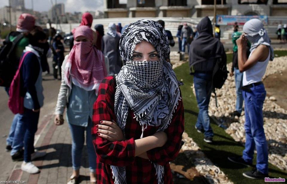 PalestineGN's tweet photo. Palestinian women against the Israeli occupation army.
#FreePalestine ✌
#Palestine #فلسطين https://t.co/wwugbVDKI9