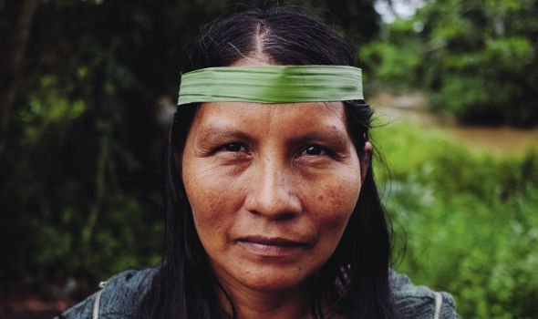 Indigenous tweet media