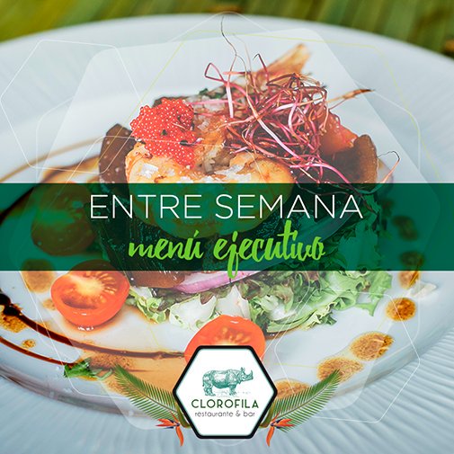 Clorofilajungle's tweet photo. ¿Martes de resaca? ¡Martes de recuperación! El #MenúEjecutivo te viene ni que pintado ---> #Clorofilízate #TapasSevilla https://t.co/uF9y08T7Wy
