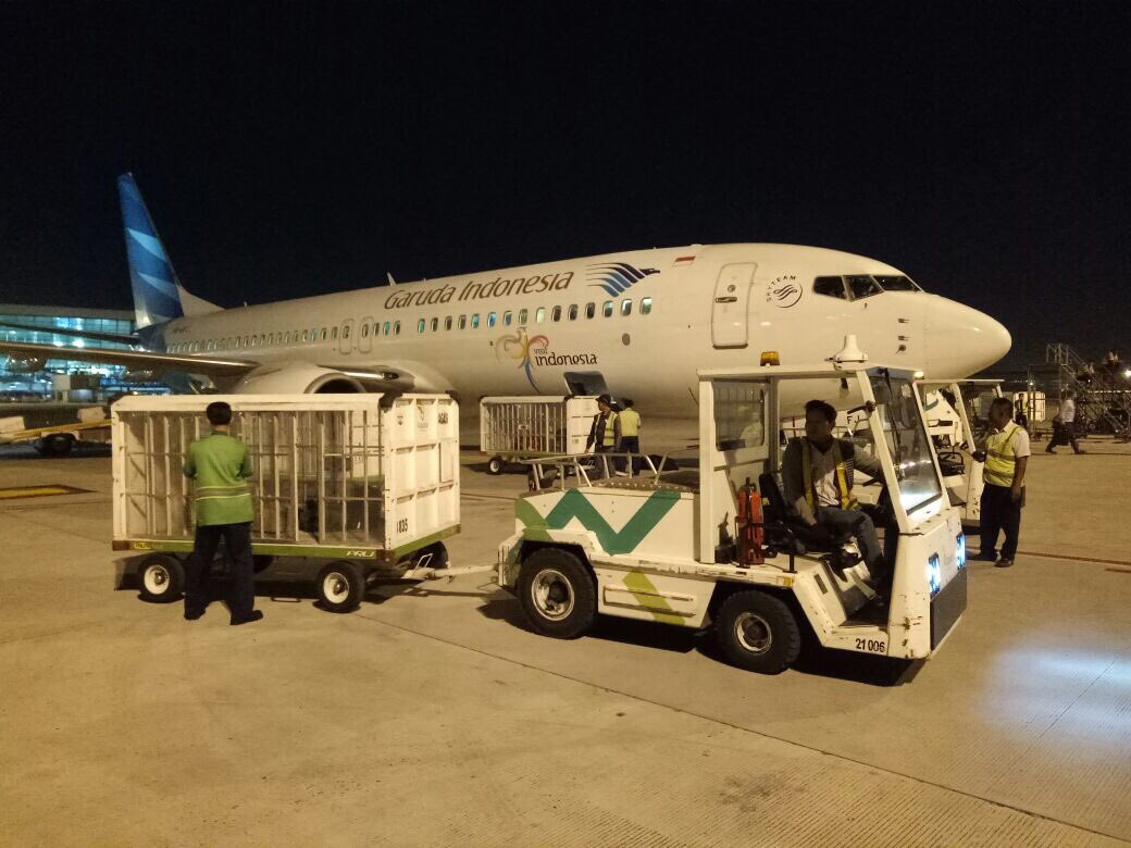 Kerja sama &amp; sama2 kerja antara team ground handling utk pelayanan bagasi terbaik di T3 CGK @AngkasaPura_2 Kolaborasi yg andal &amp; ciamik 👍🇮🇩