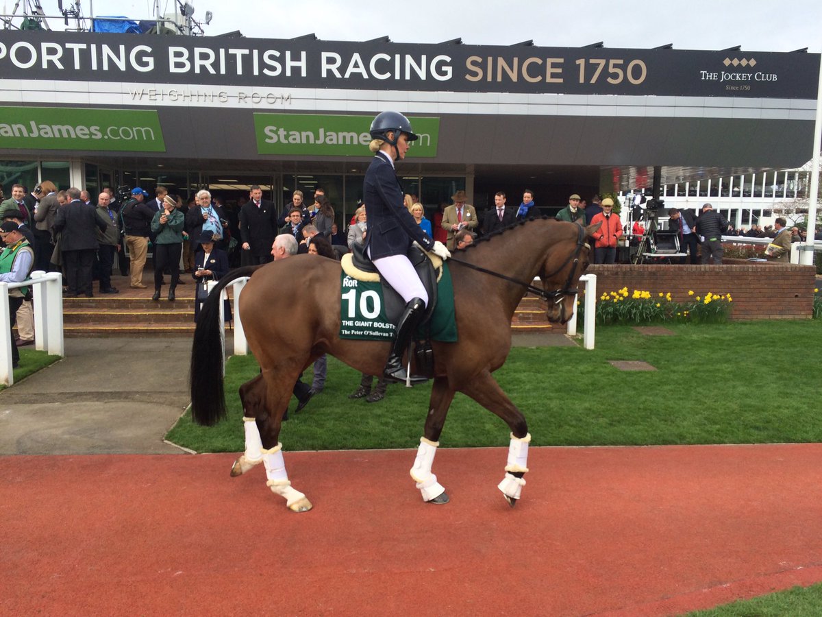 The Giant Bolster looking brilliant for his first RoR parade! <a href="/lucybridgwater/">Lucy Bridgwater</a> @BHAPressOffice
