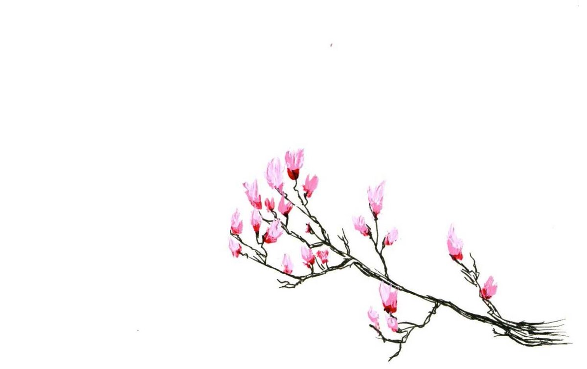 ErinAnthony1's tweet photo. On a day w/a winter storm warning. A small bit of spring. Magnolia branch from this day in 2016. #stormstella #snowmageddon2017 #snow https://t.co/L5AFrDVg3Y