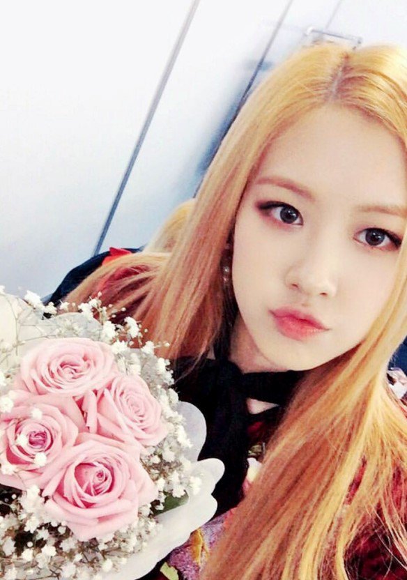 urRose97's tweet photo. @UR_CLSDRP spada, I'm Rose, vocal 97L. wanna join urclosed, verifity? https://t.co/EIa7T5dEXu