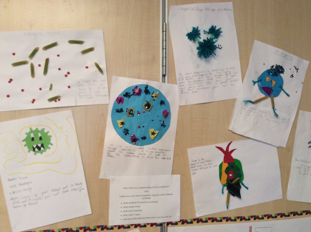 LochsidePS's tweet photo. #P7R have been learning about micro-organisms @MontroseSSERC https://t.co/FuME4BGv5j
