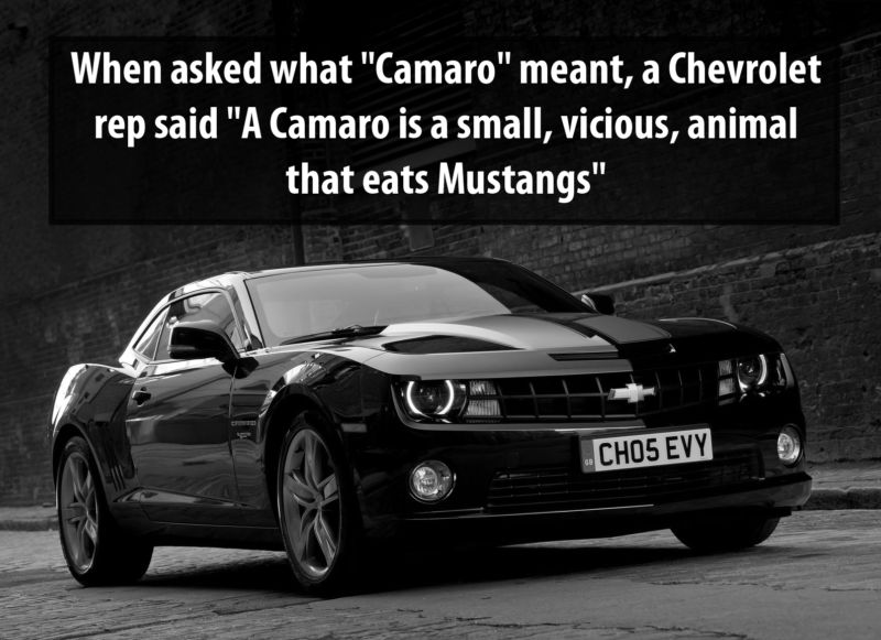 What is "camaro"? #CarFacts