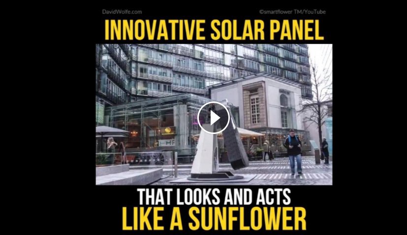 GroveInnovators's tweet photo. The sunflower solar panel is Innovative, smart, advantageous and looks great too! Watch the video: https://t.co/KHjqQUg7Pn #GroveGroup https://t.co/mZ9M6YMpY3